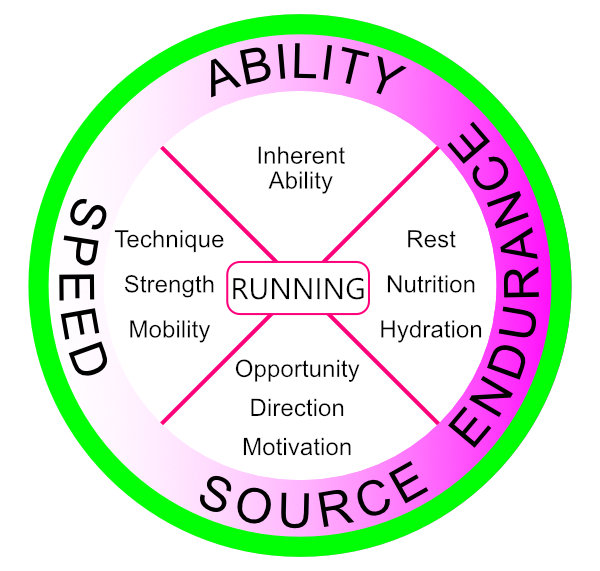 diagram showing the relationship of ability, speed, endurance and support mechanisms