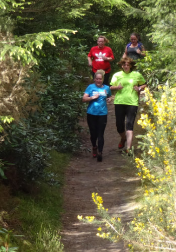 photo of a group of runners on a trail with gorse in bloom