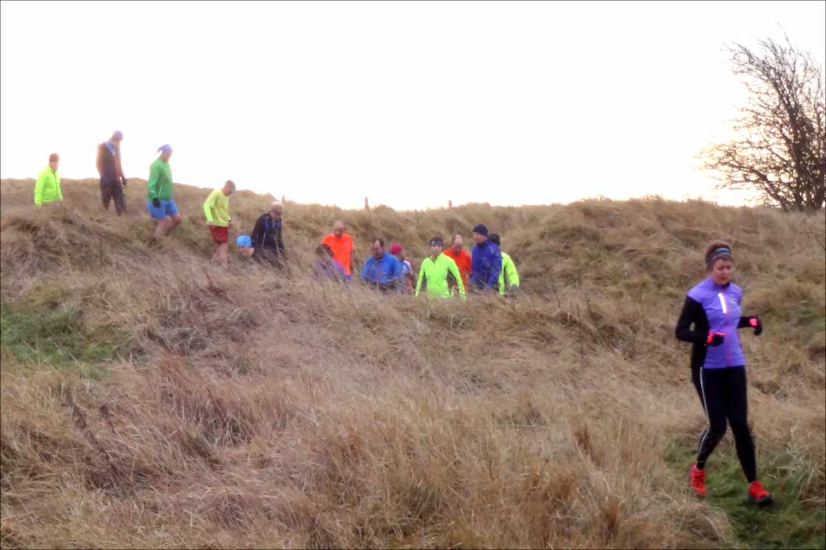 photo of a group of runners coming down a bank witthe ground covered in straw-coloured long grass.