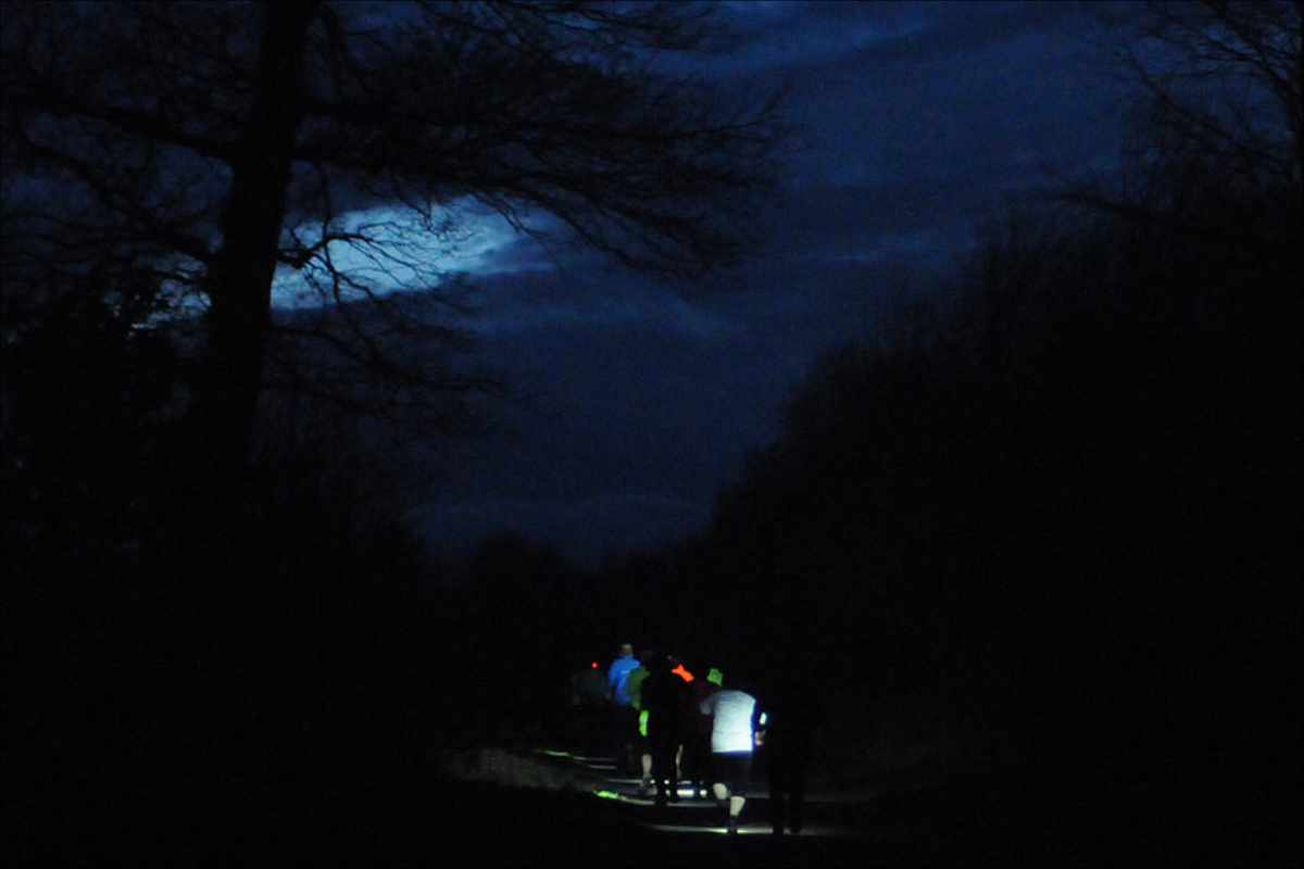 photo of a group of runners in the dark. framed by trees and illuminated by a bright moon.