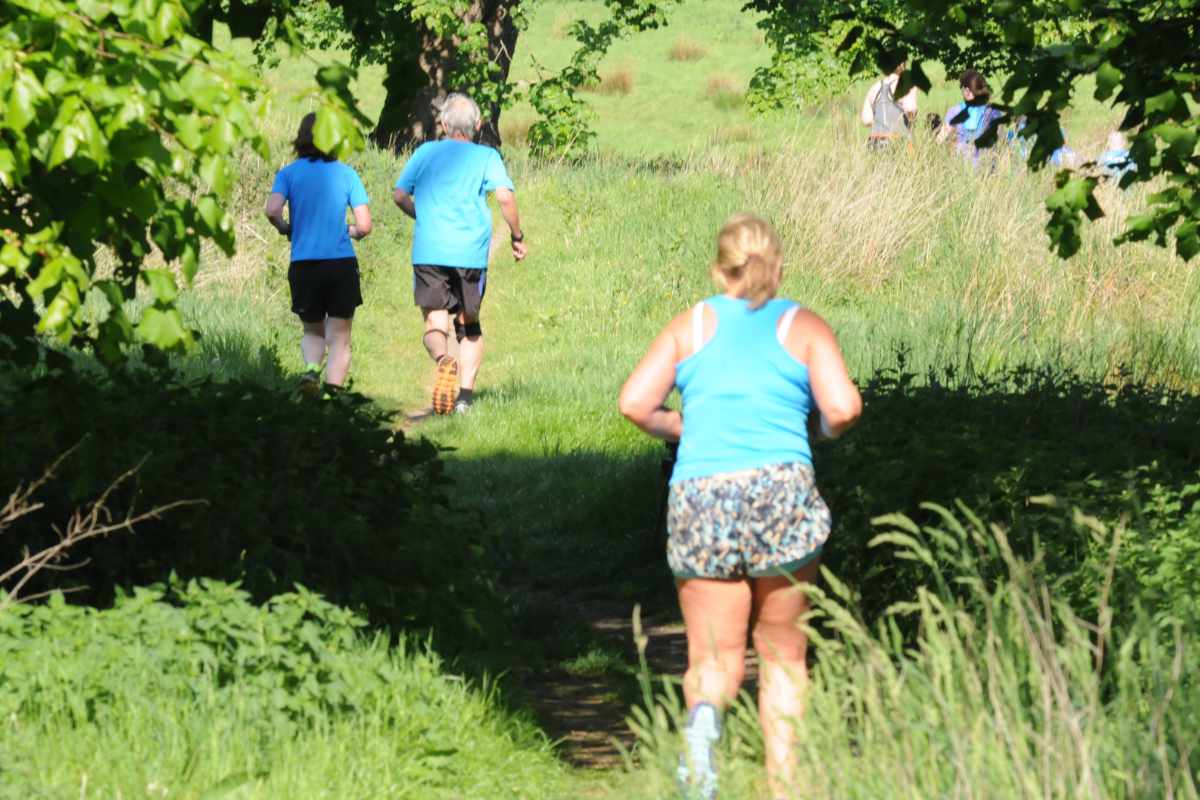 photo of a group of runners making their way through a grassy meadow and with trees in full leaf.