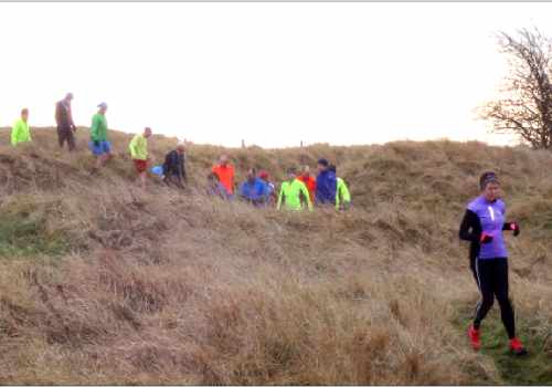 photo of a group of runners coming down a bank witthe ground covered in straw-coloured long grass.