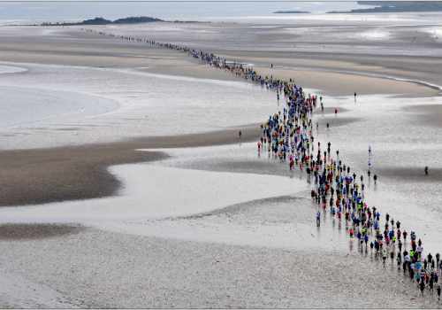 photo of a stream of runners crossing wet sand with rocks and sea in the background.