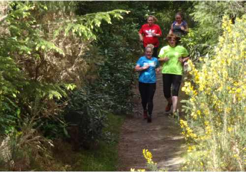 photo of a group of runners going down a wooded trail surrounded by the yellow Broom bushes in flower.