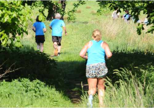 photo of a group of runners making their way through a grassy meadow and with trees in full leaf.